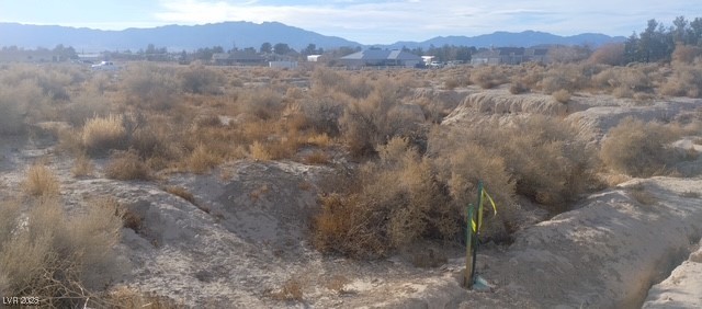 2200 East Cactus Street