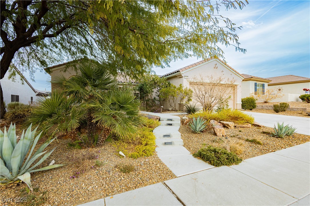 2856 Sapphire Desert Drive