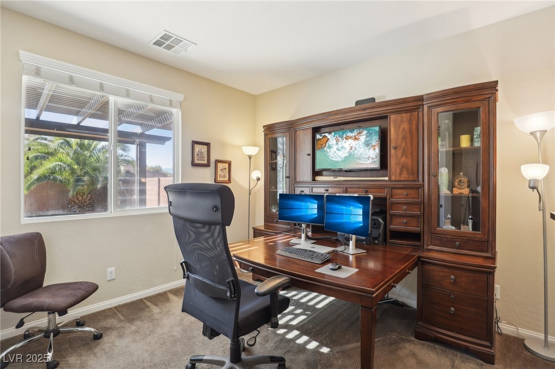 1033 Via Dell Bacio Drive