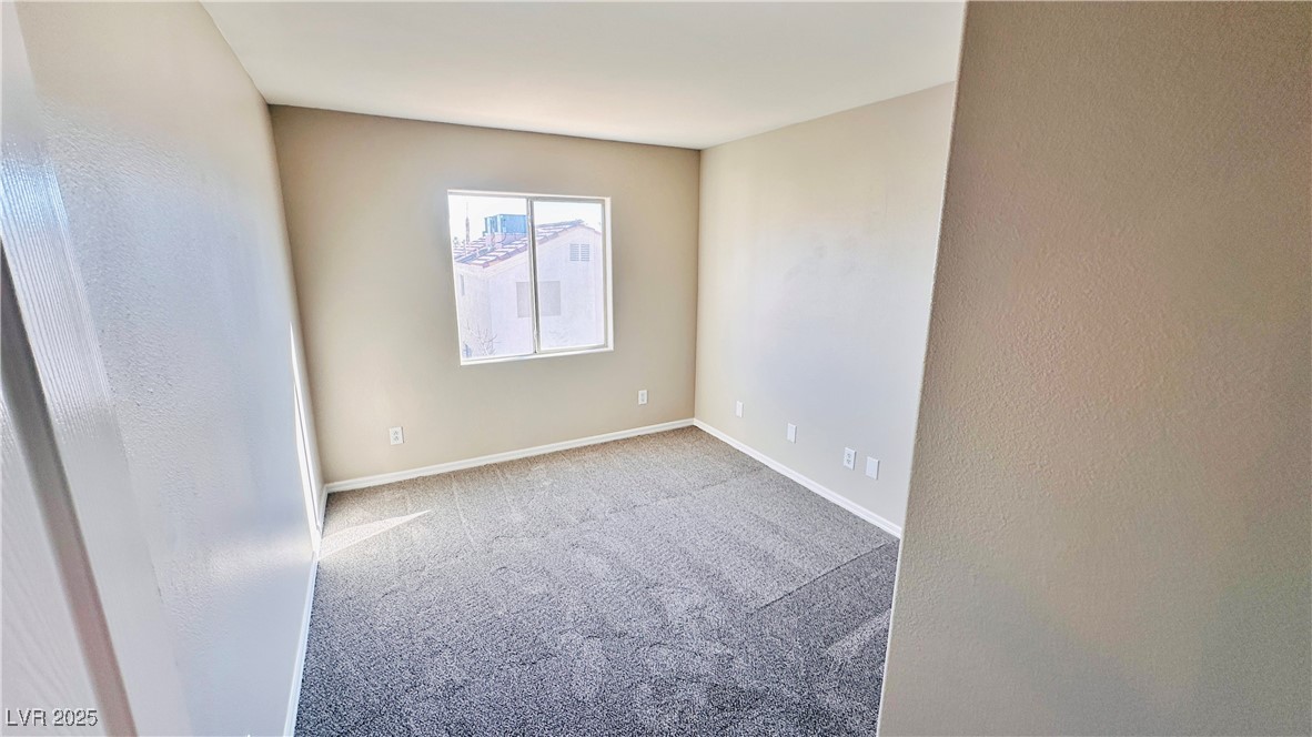 7244 Buglehorn Street