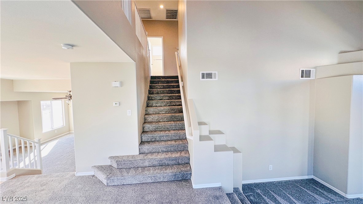 7244 Buglehorn Street