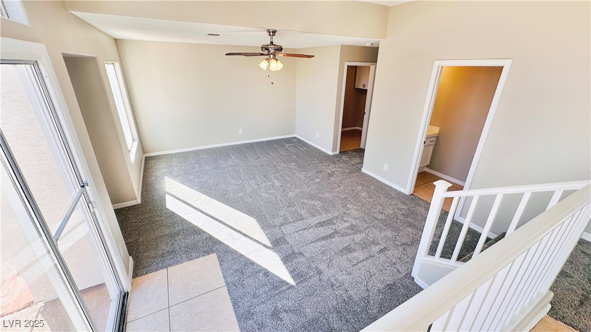 7244 Buglehorn Street