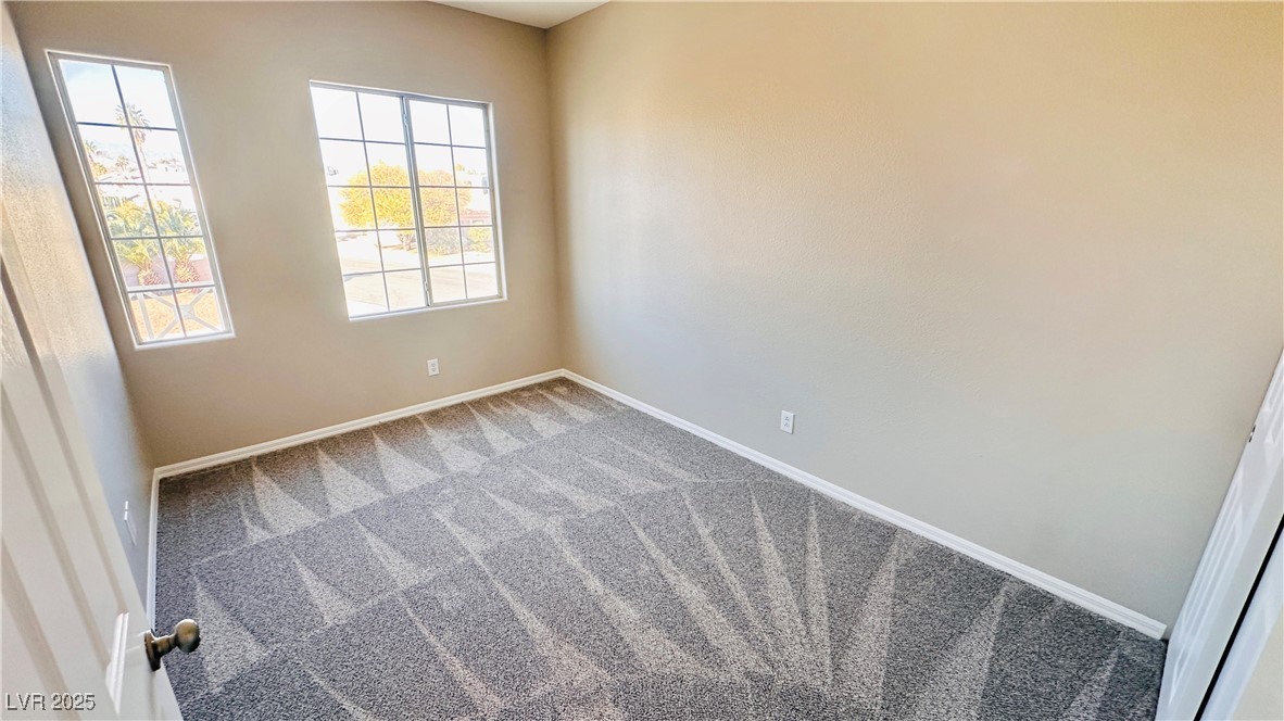 7244 Buglehorn Street