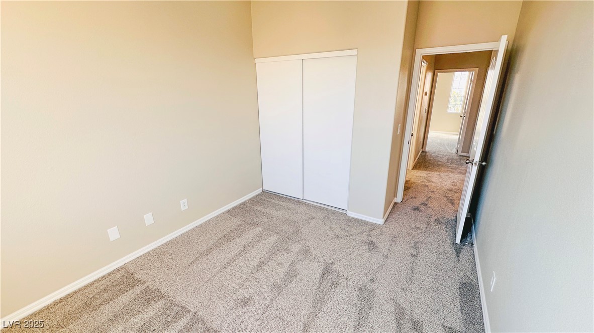 7244 Buglehorn Street