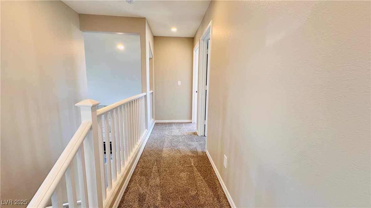 7244 Buglehorn Street