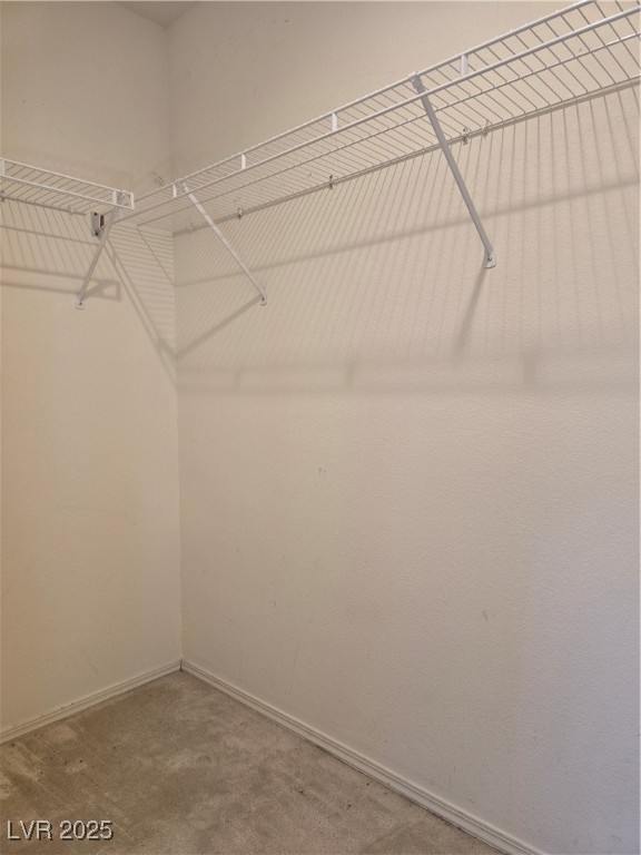 8993 Secret Valley Street