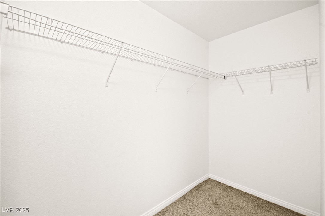 3920 Beverly Elms Street