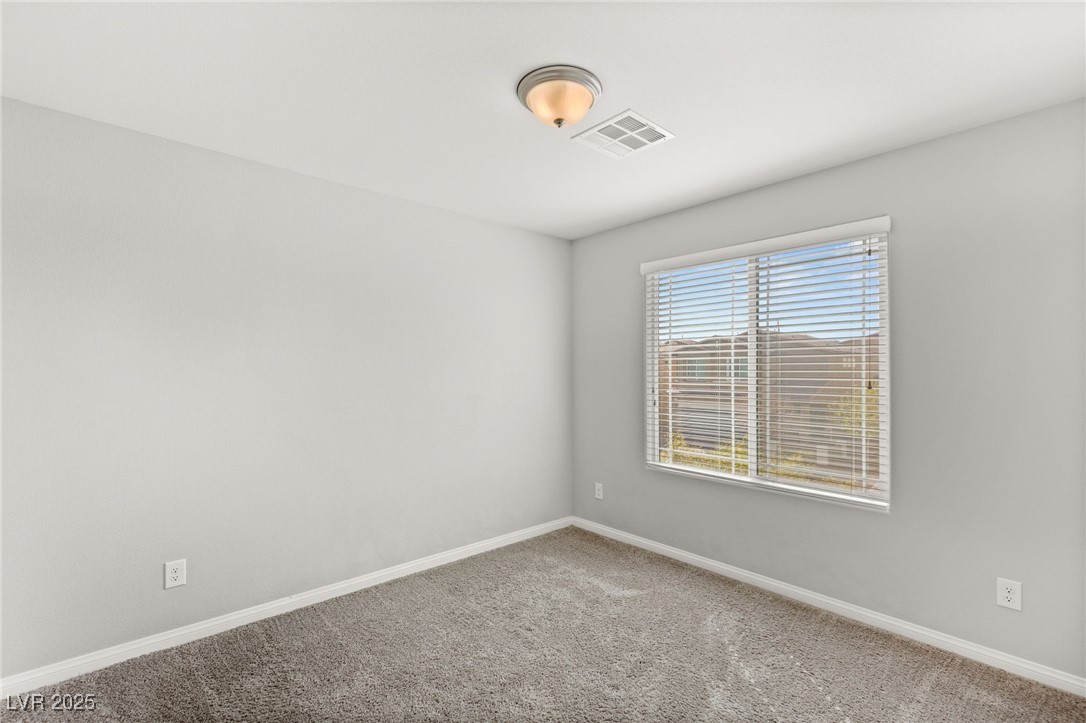 382 Scarlet Pine Court