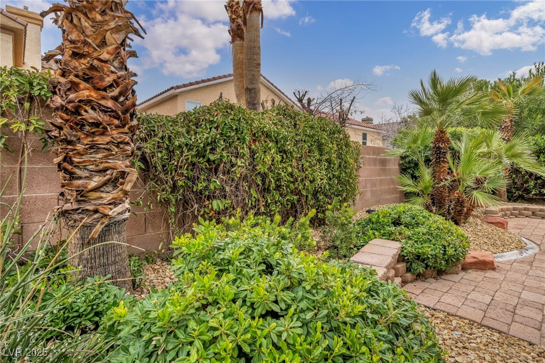 9808 Camino Loma Verde Avenue