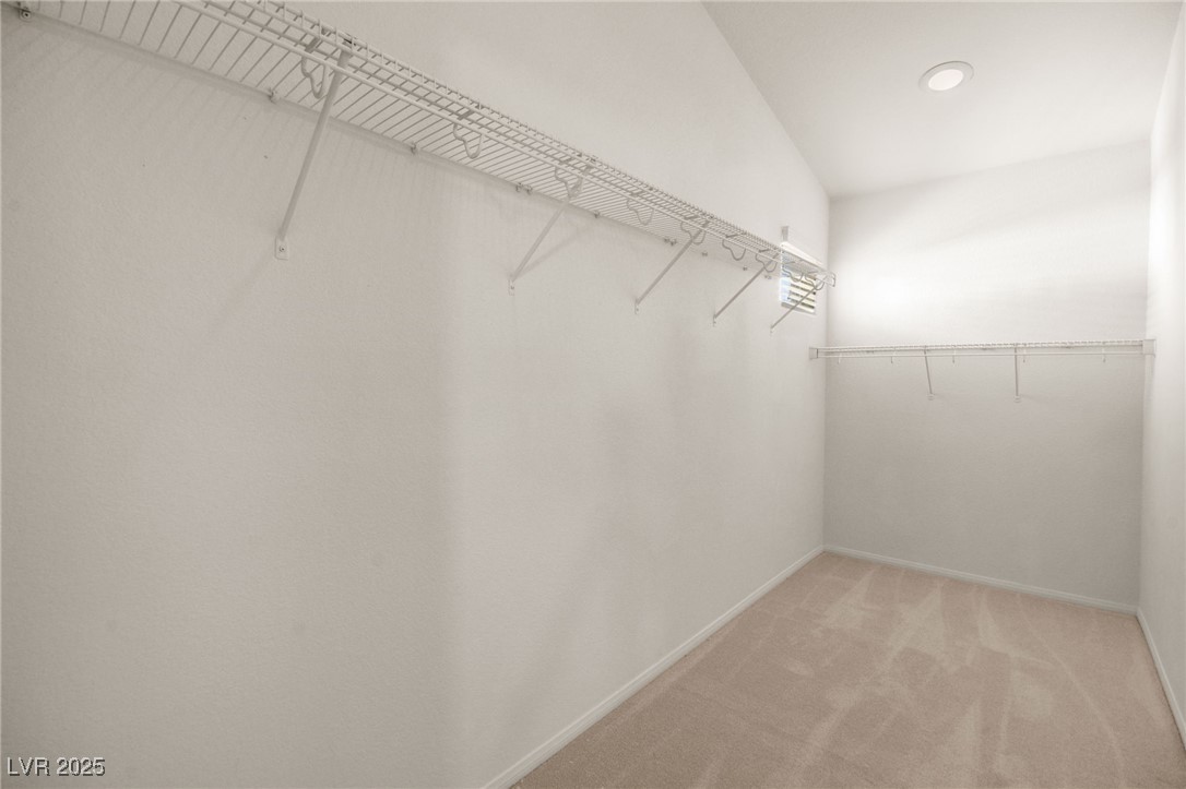 1640 Orange Daisy Place