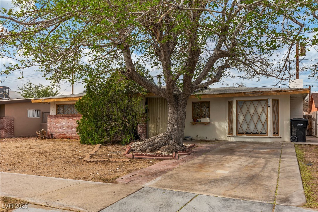 1317 Pyramid Drive