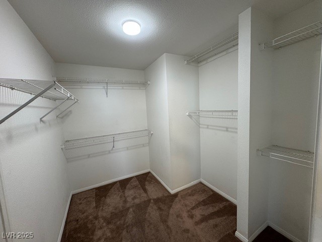 3429 Back Country Drive