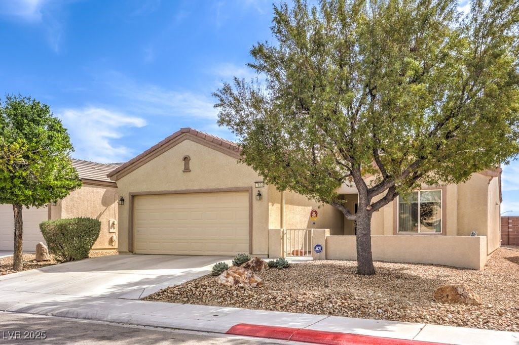 7824 Homing Pigeon Street