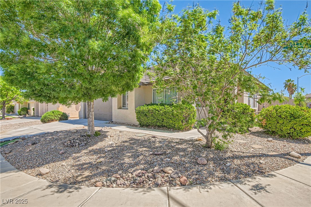 8141 Guava Nectar Avenue