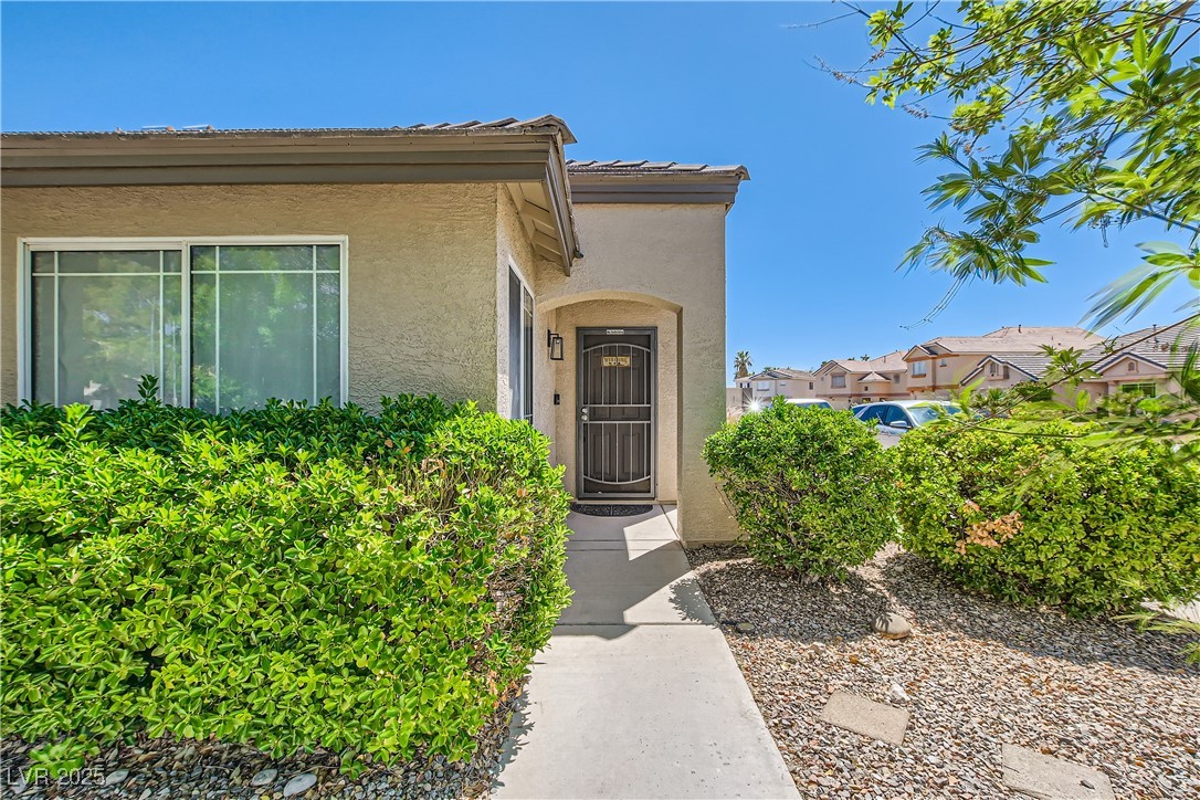 8141 Guava Nectar Avenue