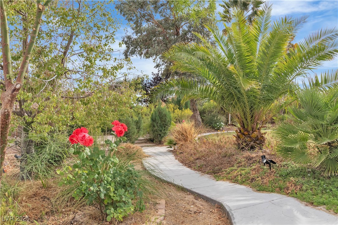 5889 Taylor Valley Avenue