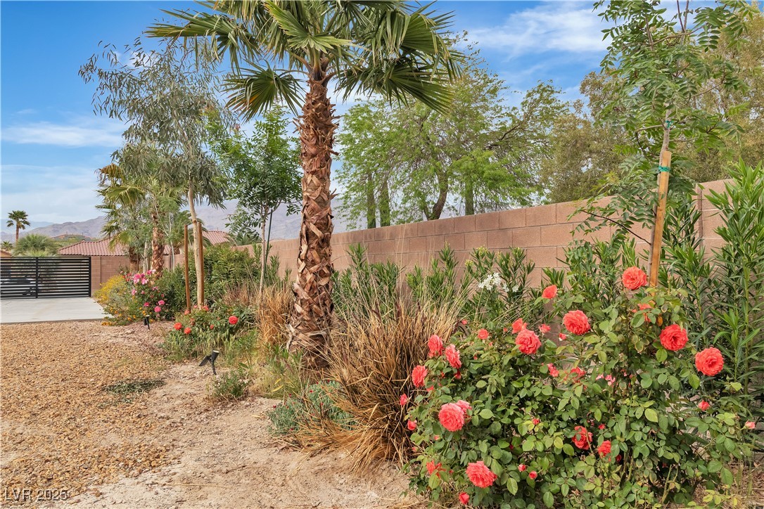 5889 Taylor Valley Avenue