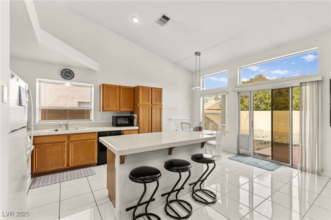 5224 Dana Springs Way