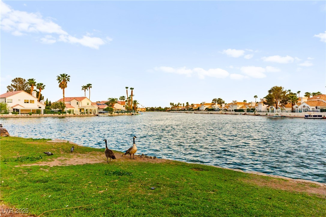 8117 Horizon Lake Drive