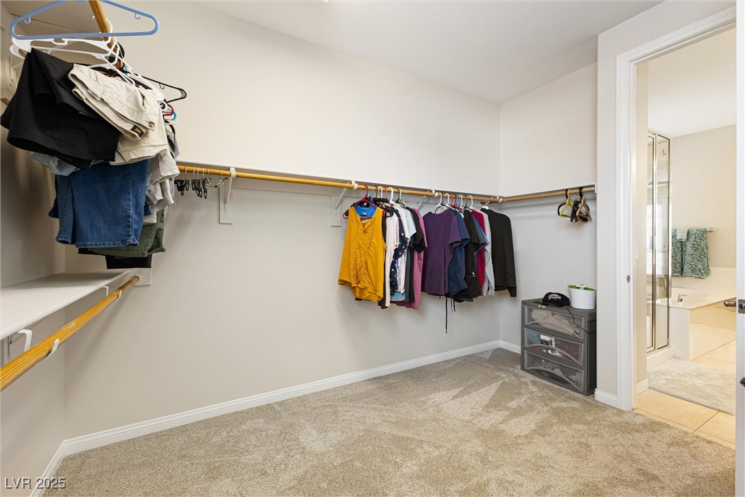 623 Blue Snow River Court