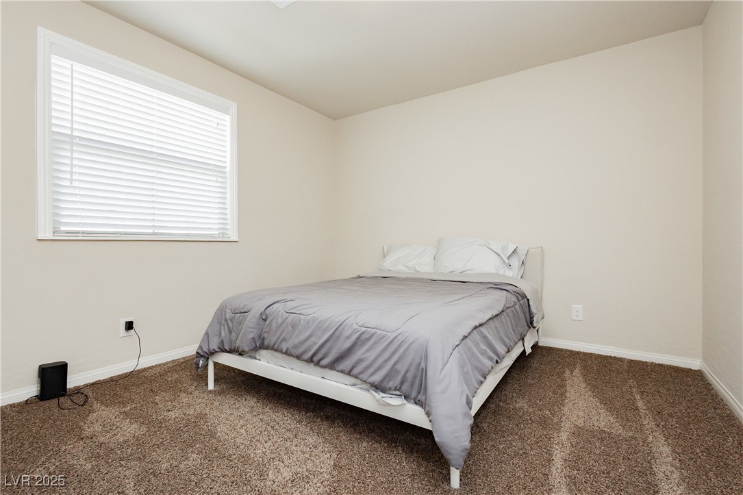 8929 Sleepy Panda Avenue