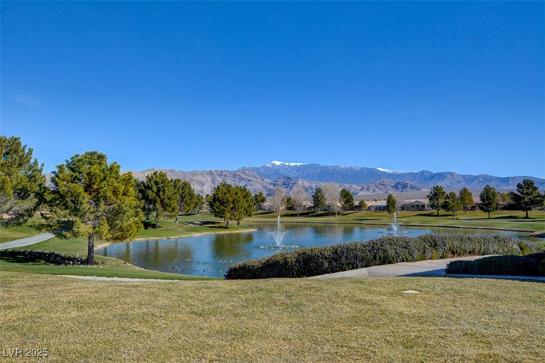 4910 Cielo Court
