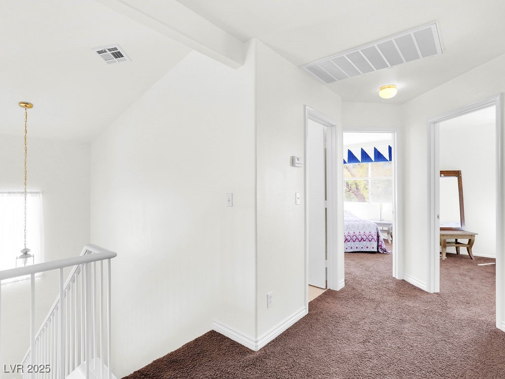 185 Renville Court