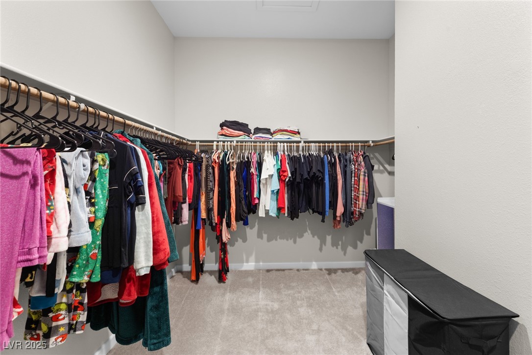 8929 Cassia Winds Street