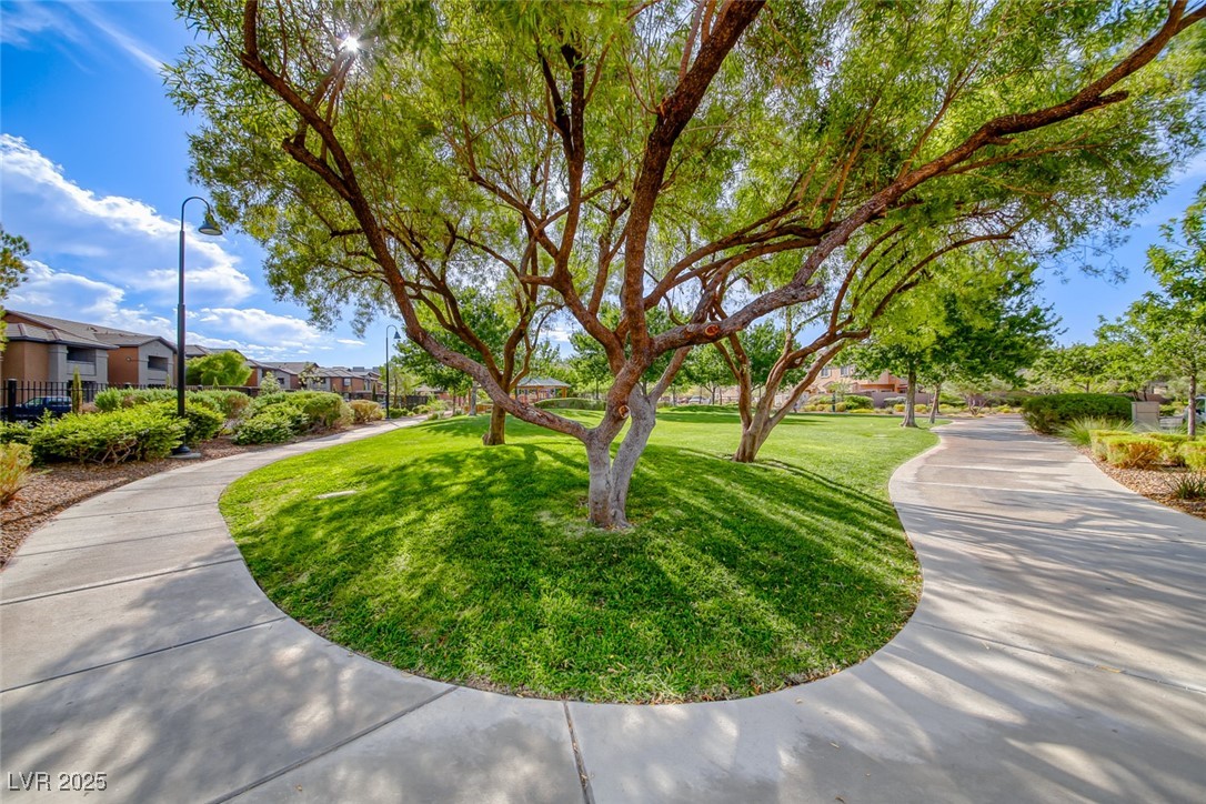 76 Stock Option Street 2