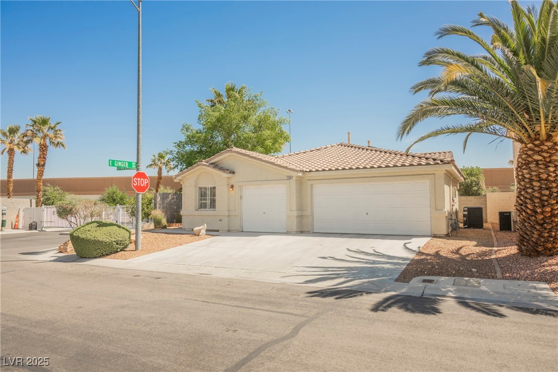7754 Pink Ginger Street
