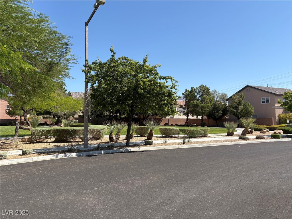 8237 Cline Mountain Street