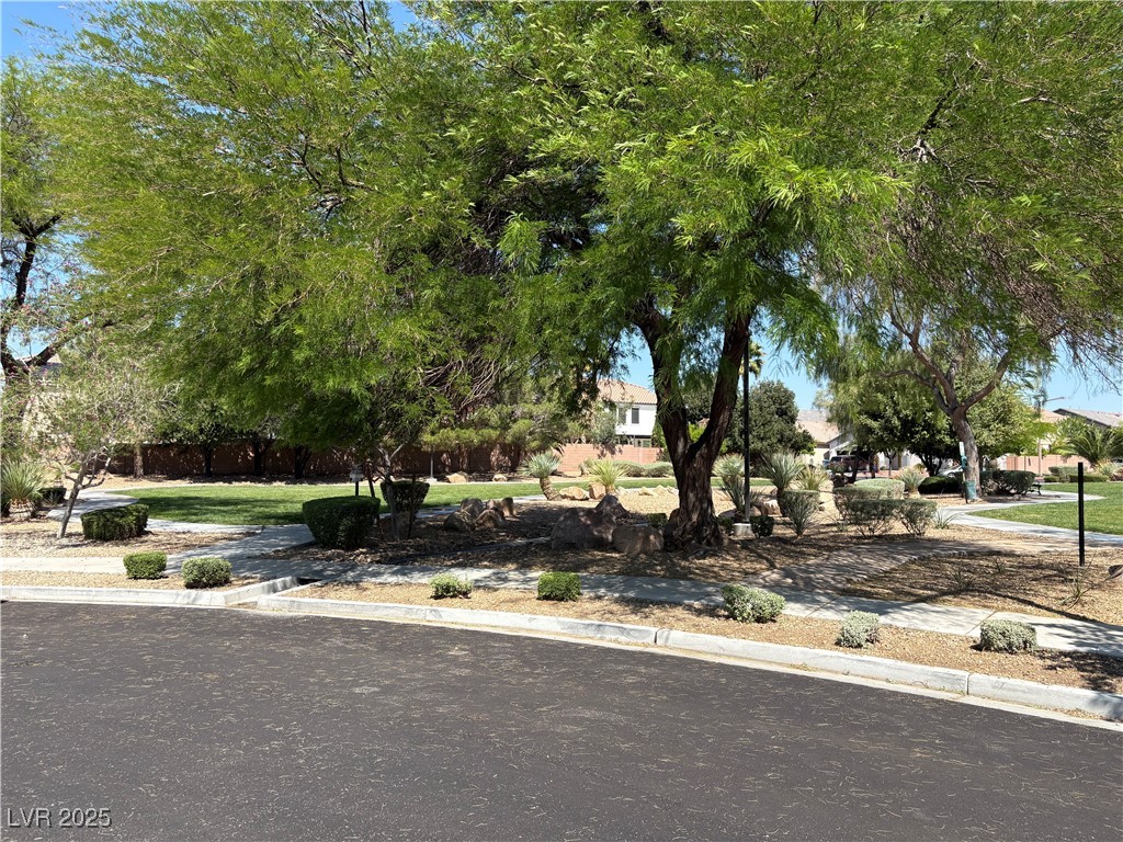 8237 Cline Mountain Street