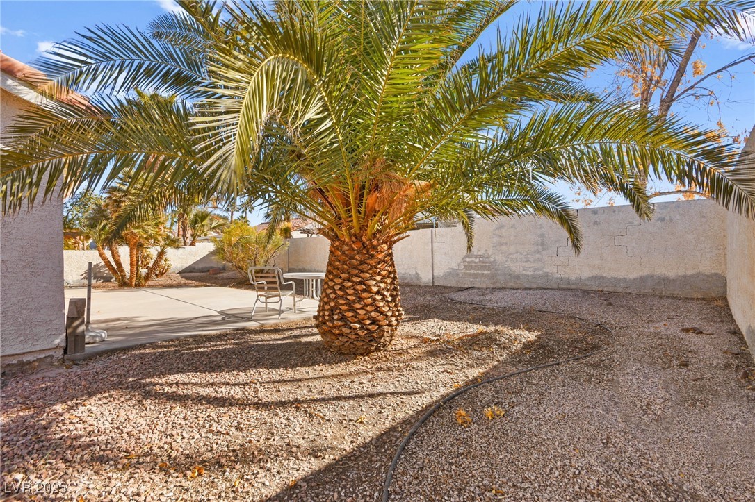 433 Old Palms Drive