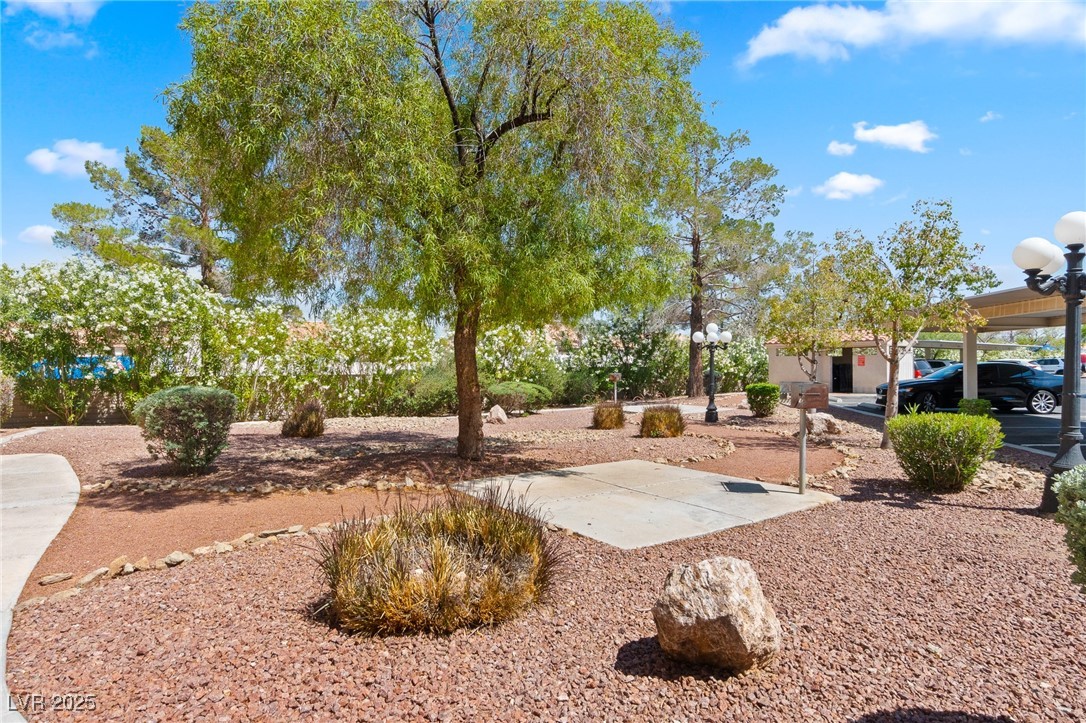 8409 Running Deer Avenue 203
