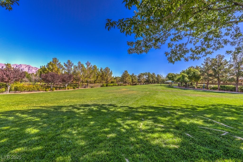8224 Fowler Falls Court