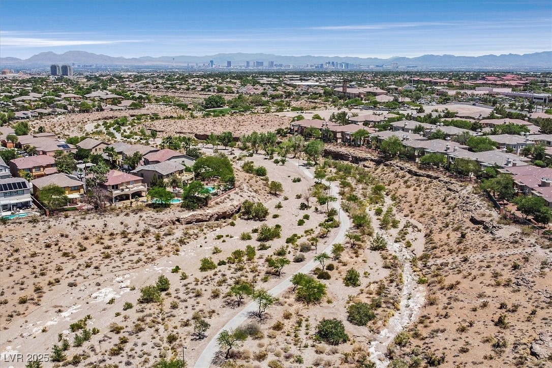 10640 Amber Ridge Drive 101