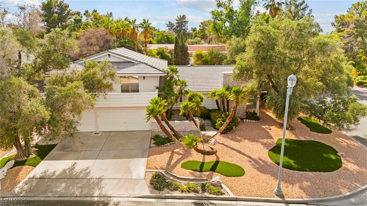 226 Dalmatian Lane