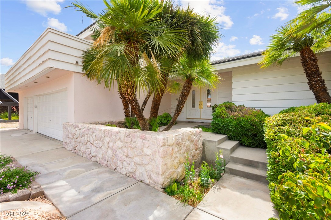 226 Dalmatian Lane