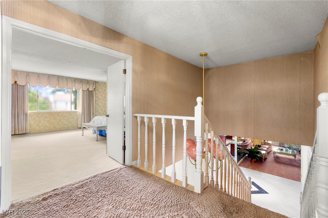 226 Dalmatian Lane