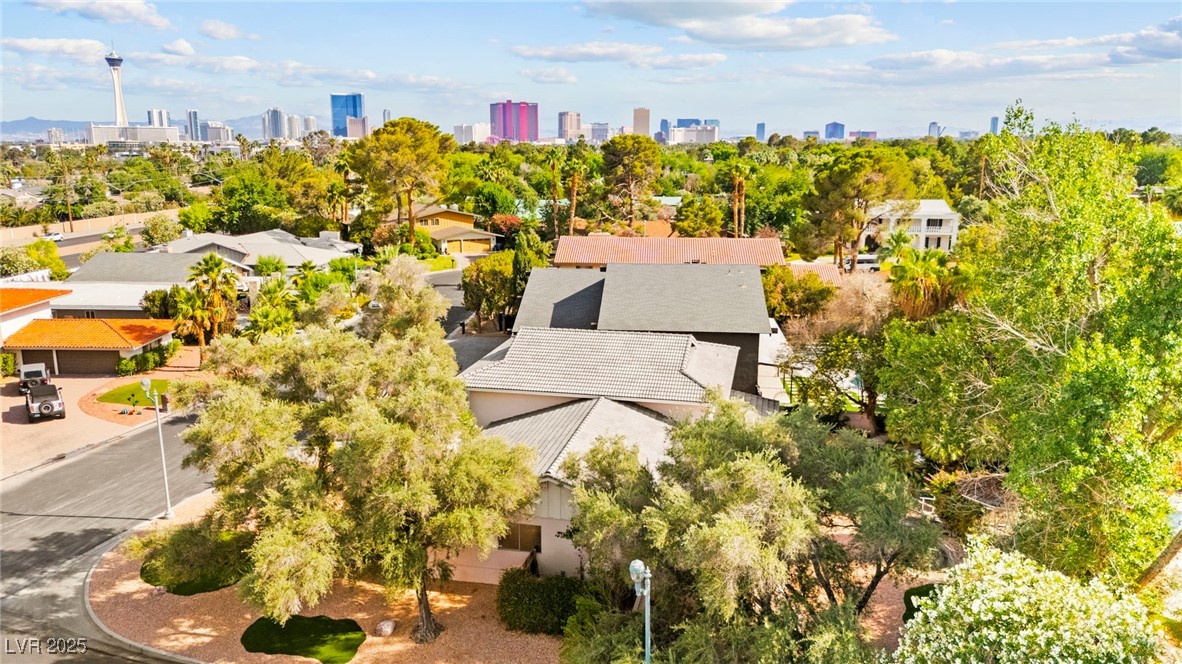 226 Dalmatian Lane