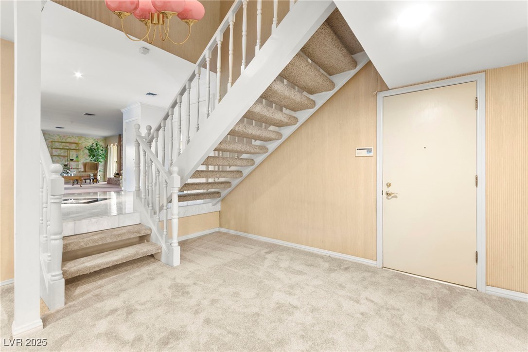 226 Dalmatian Lane