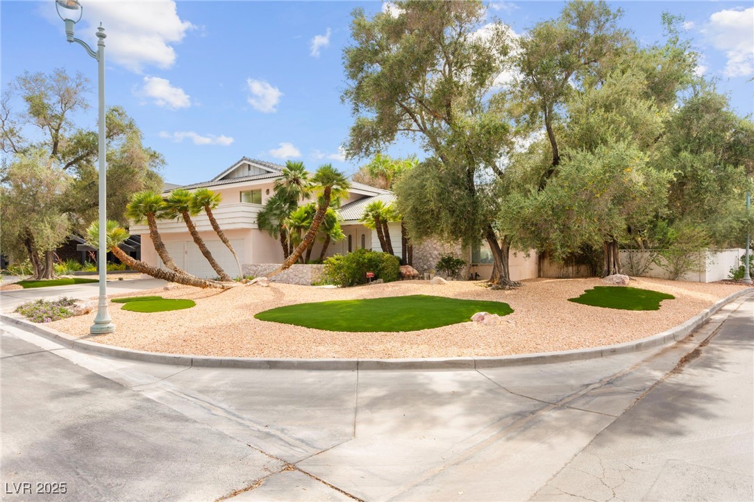 226 Dalmatian Lane