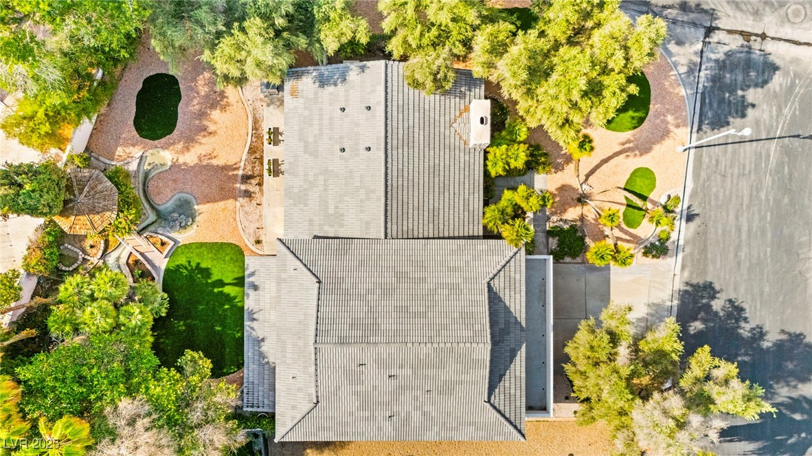 226 Dalmatian Lane