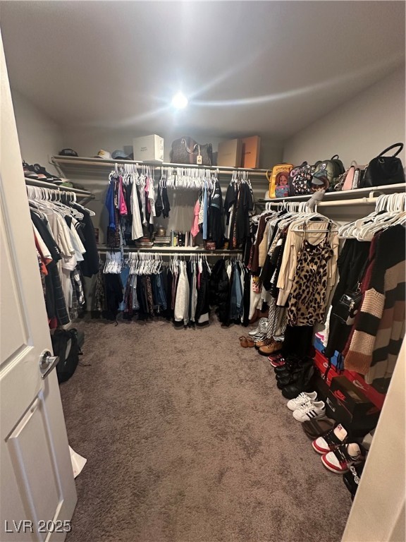 7636 Bandon Cliffs Street