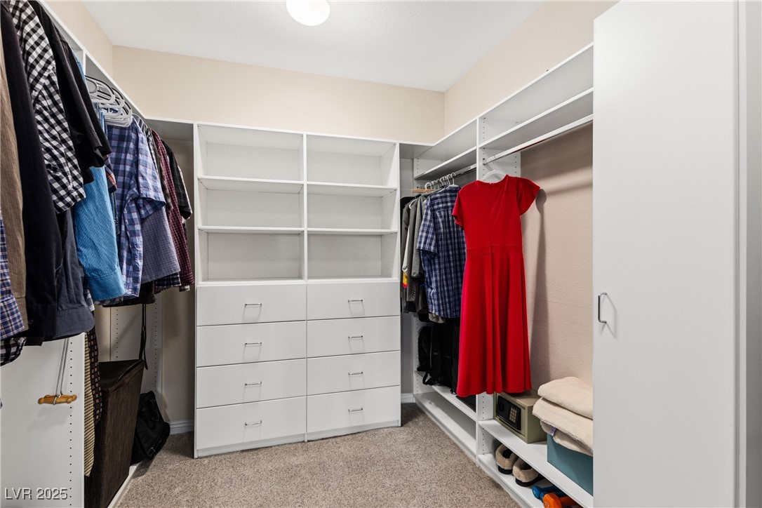 6413 White Tiger Court