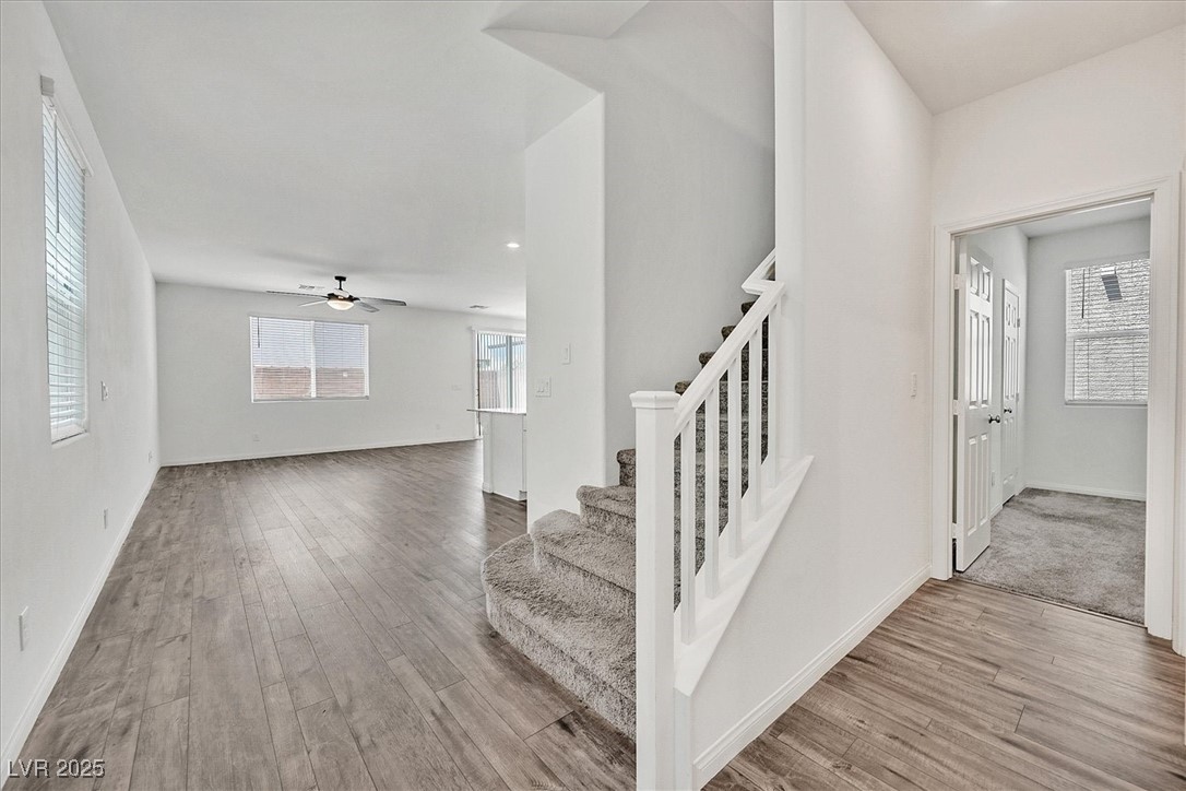 8011 Cavazzo Avenue