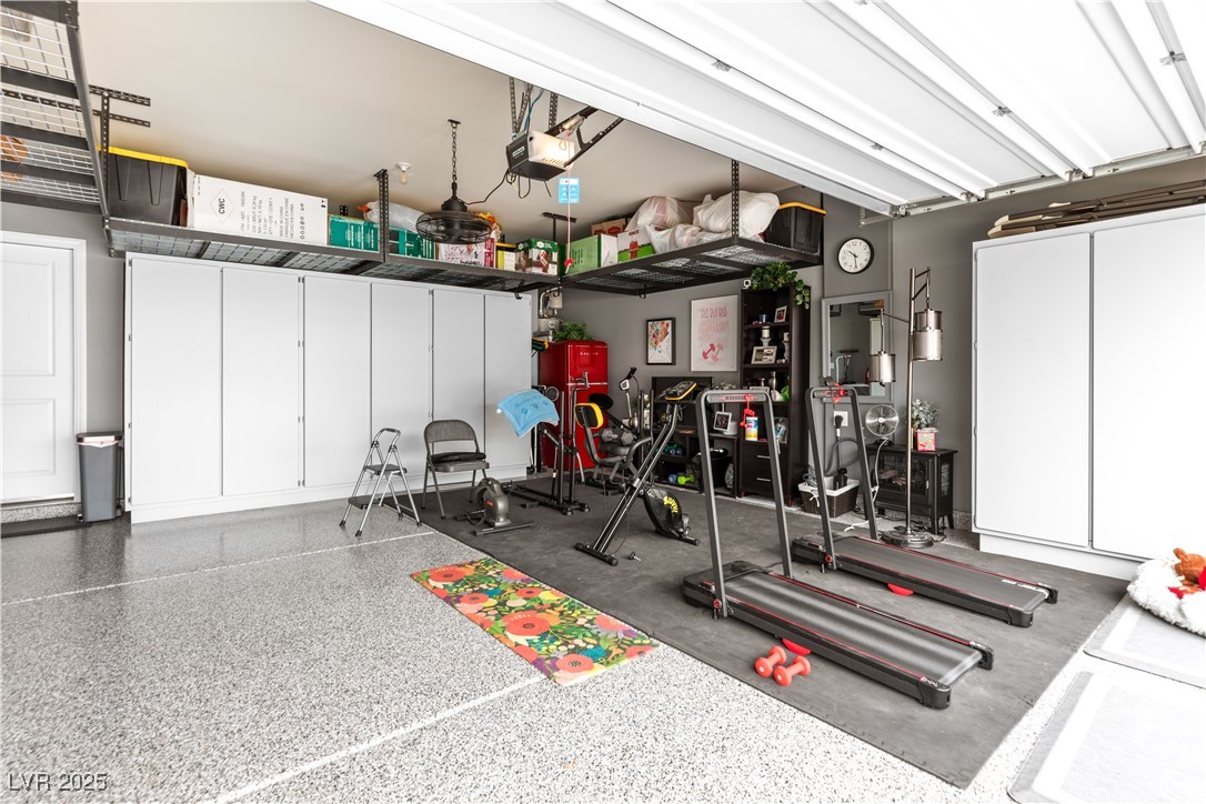 1981 Komodo Dragon Court