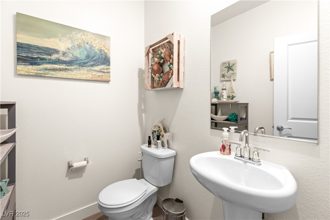 1981 Komodo Dragon Court