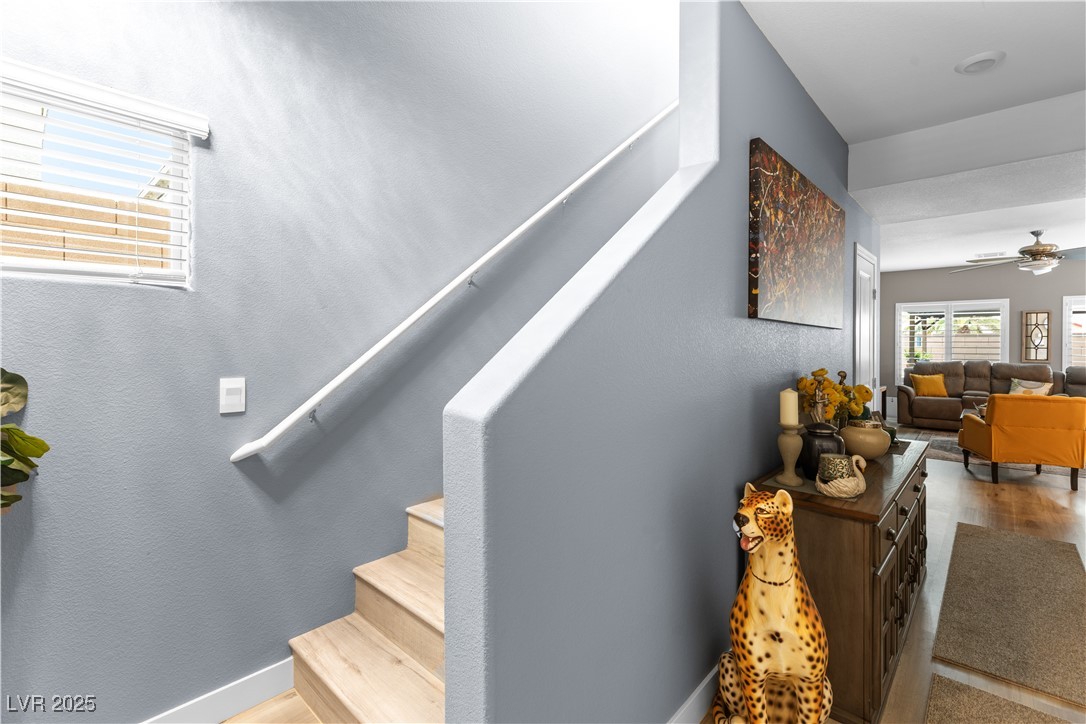 1981 Komodo Dragon Court