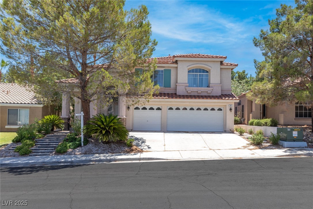 24 Staghorn Street
